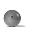 GYMBALL - 55CM
